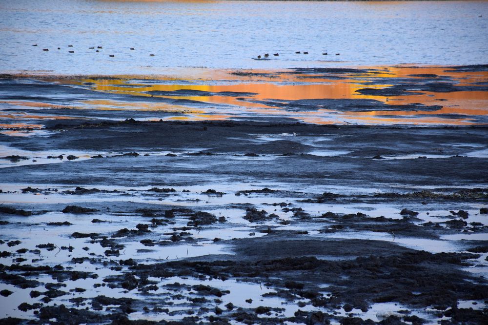 Photograph by Татьяна Дорожко