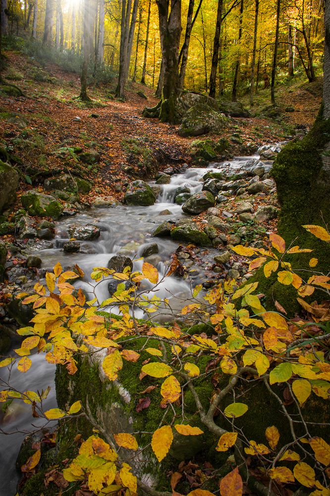 Photograph by Reza Jafari