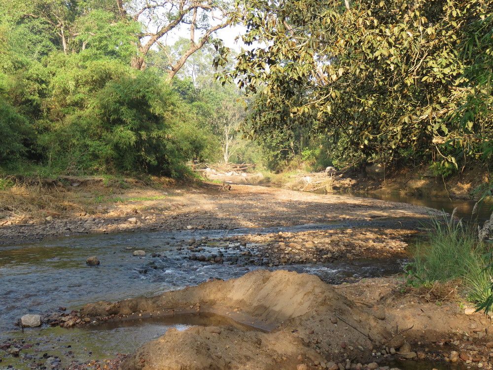 Probable tributary of River Surpan
