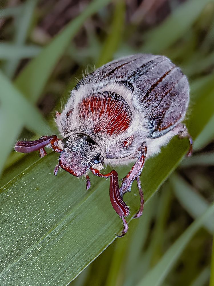 Photograph by Сергей Таранов