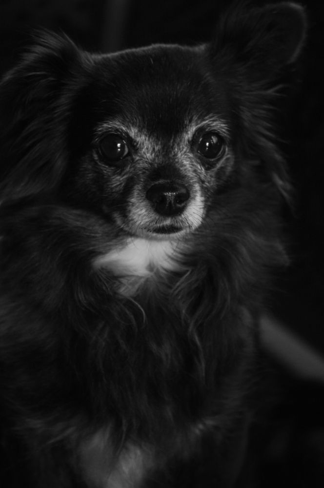 Photograph by Павел Стаценко