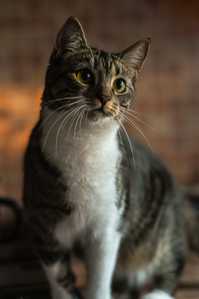 Photograph by Павел Стаценко