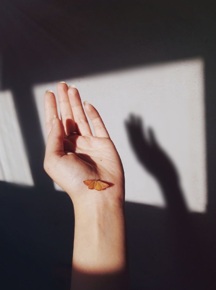 Photograph by Анастасия Бовкунова