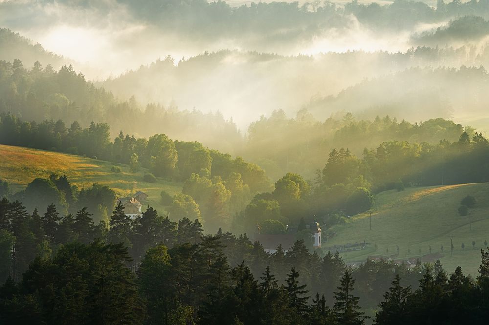 Foggy hills in Czech Switzerland