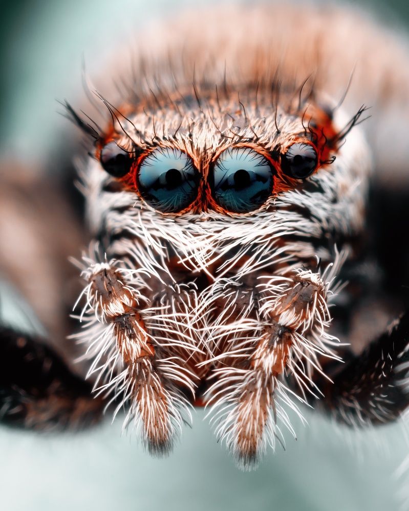 Photograph by Роман Фадеев