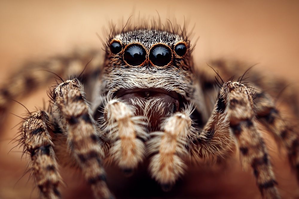 Photograph by Роман Фадеев