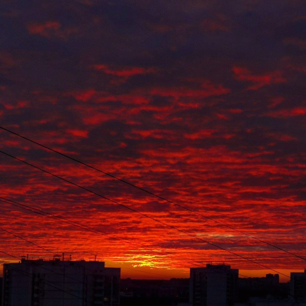 Photograph by Ольга