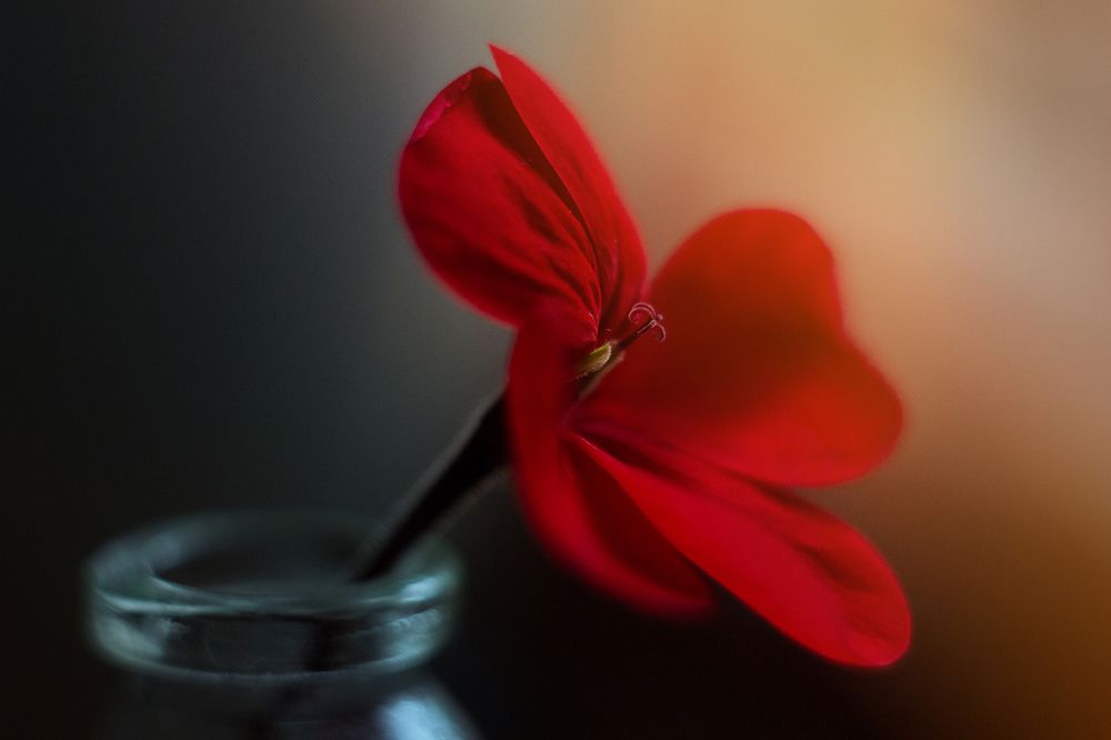 Photograph by Евгения Кинжакова