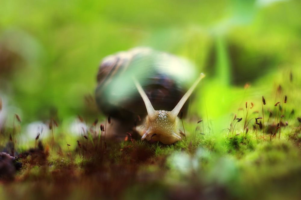 Photograph by Евгения Кинжакова