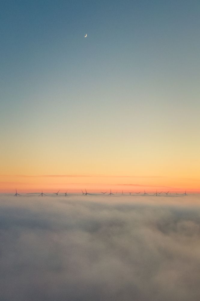 Windmills above evening fog