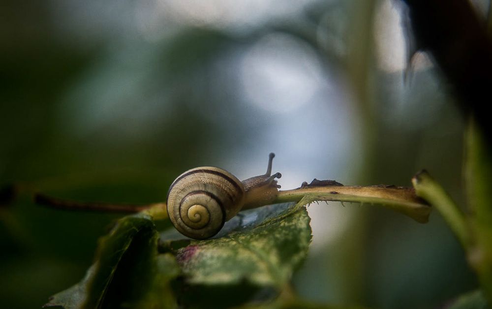 Photograph by Светлана Антонова