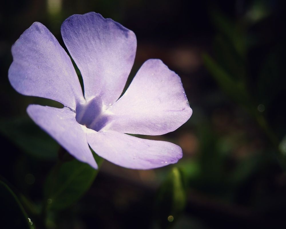 Photograph by Татьяна Чухина