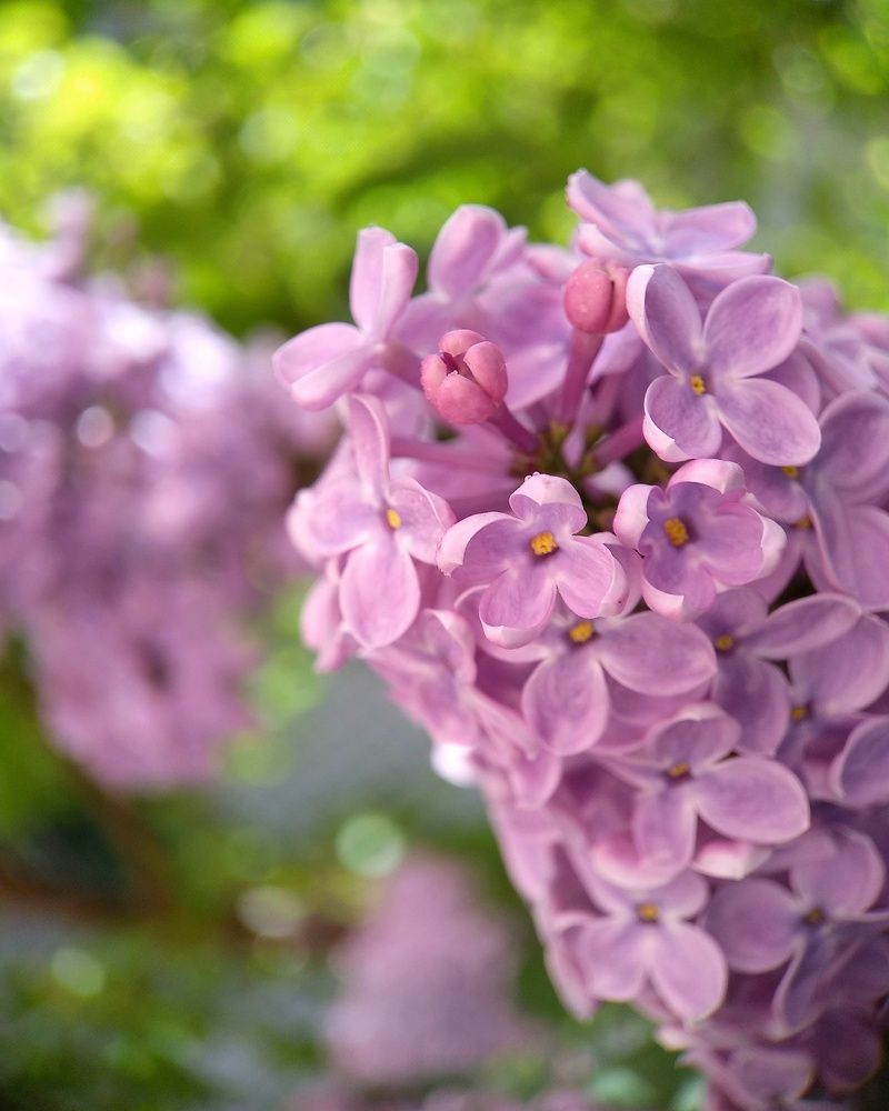 Photograph by Татьяна Чухина