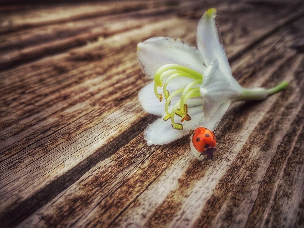 Photograph by Евгений Калагаев