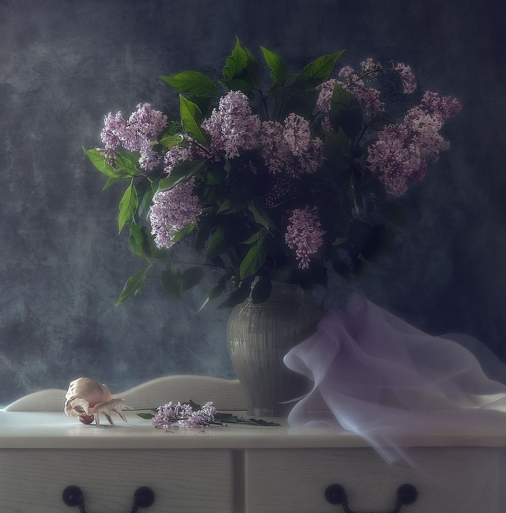 Фотография автора Виктория Шаманова