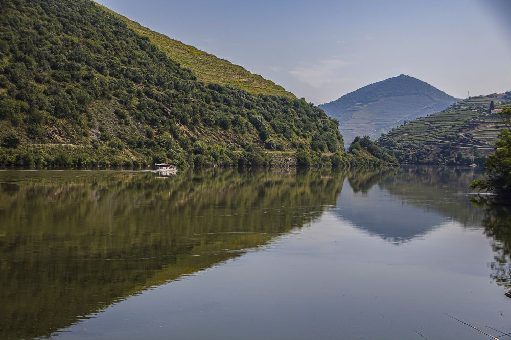 Фотография автора Marina Starovoyt