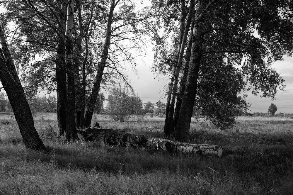 Photo #6269872