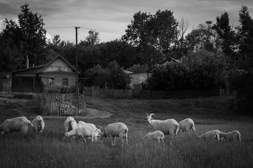 Photo #6269873