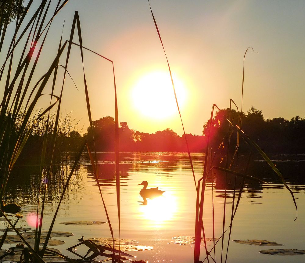 Photograph by Андрей Семенченко