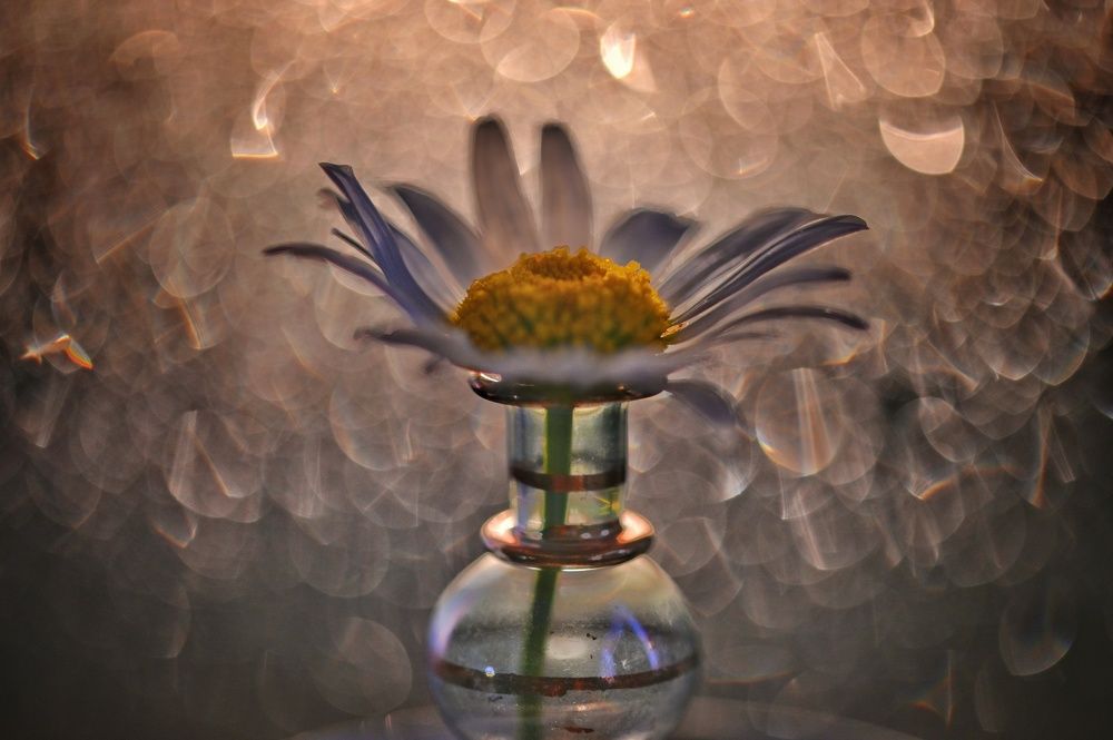 Photograph by Евгения Лушенкова