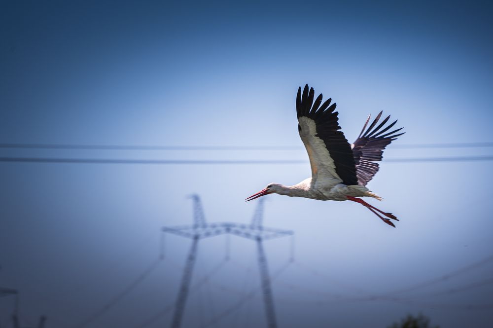 Photograph by Евгения Лушенкова