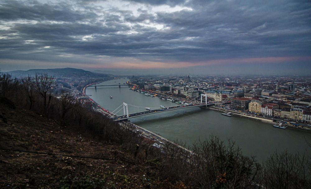 Фотография автора Marina Starovoyt