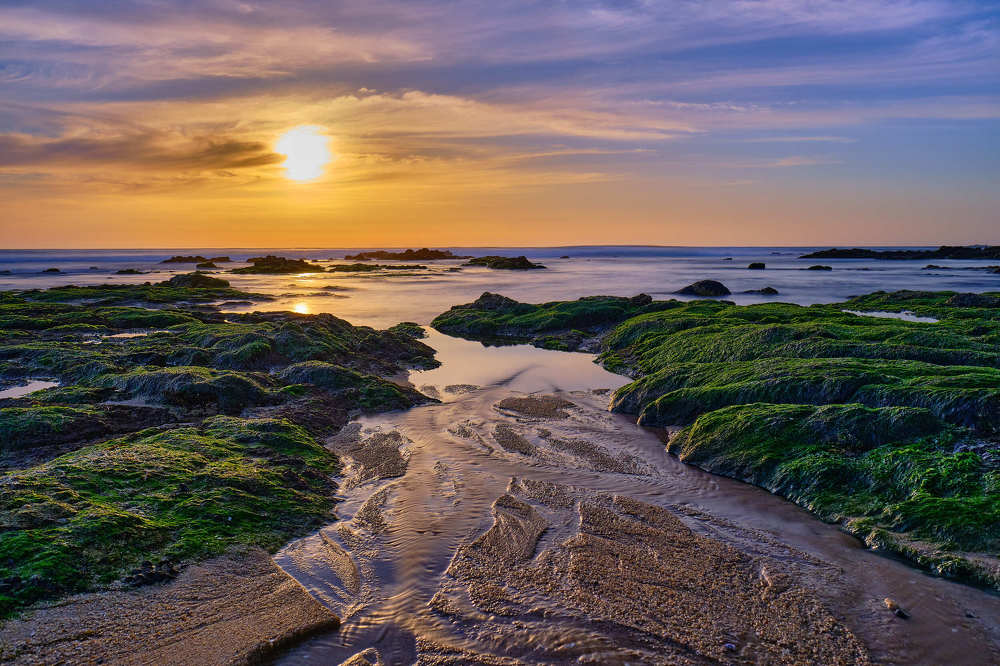 Photograph by Adelaide Sá