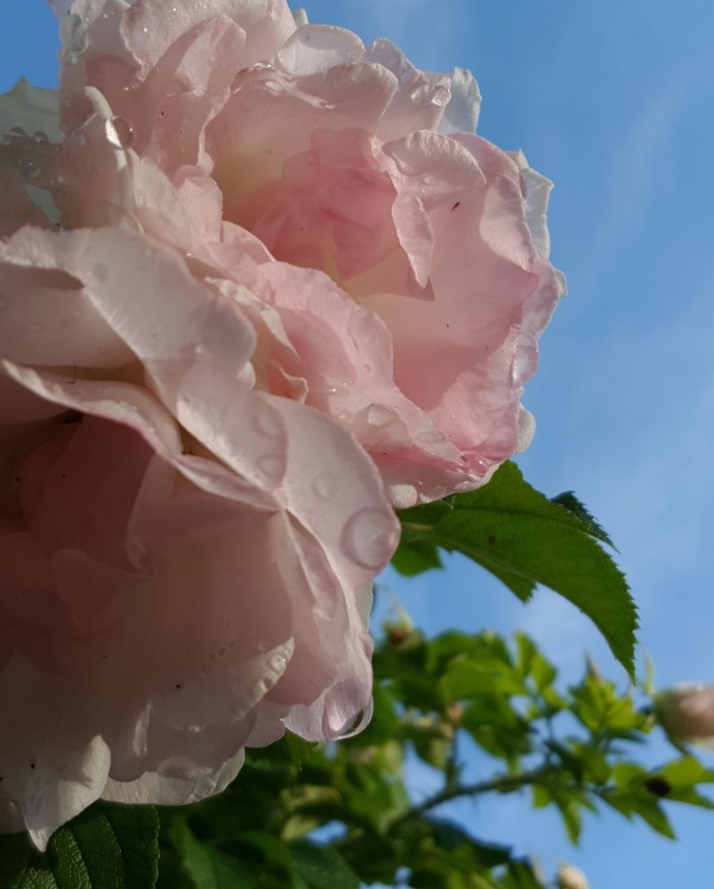 Photograph by Татьяна Олефиренко