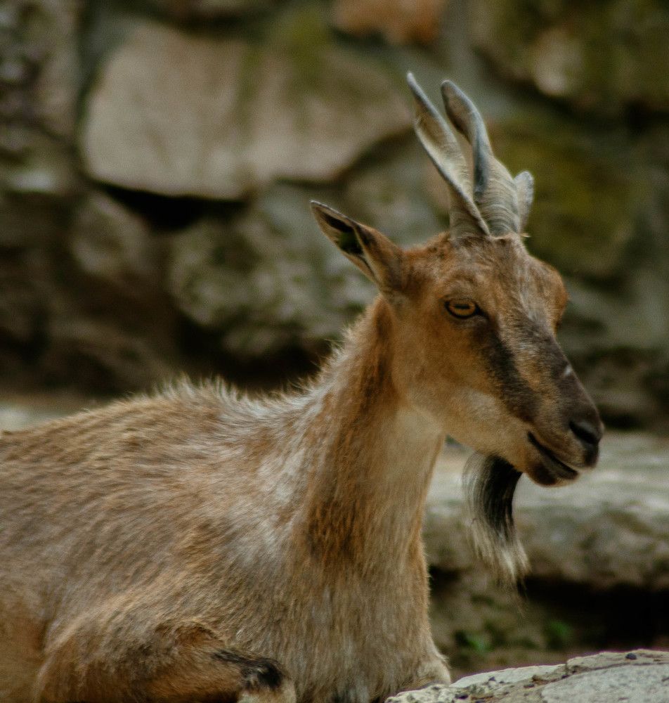 Photograph by Дима Захаров