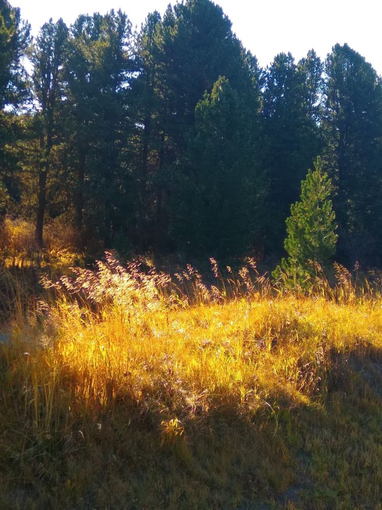 Фотография автора галина лапшина