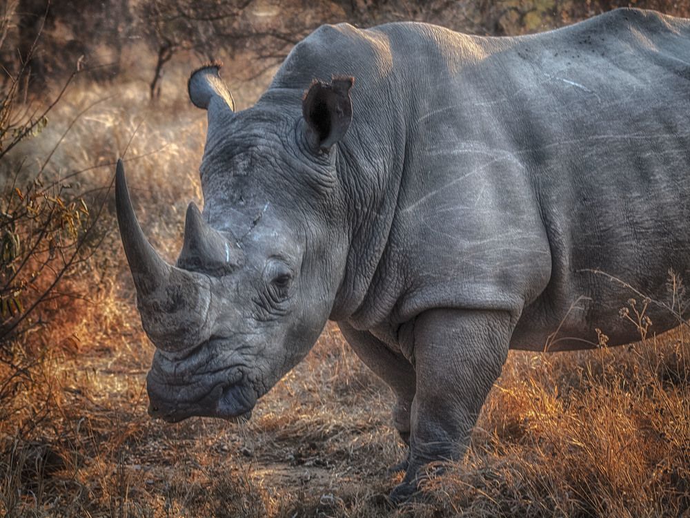 Фотография автора Guy Krier