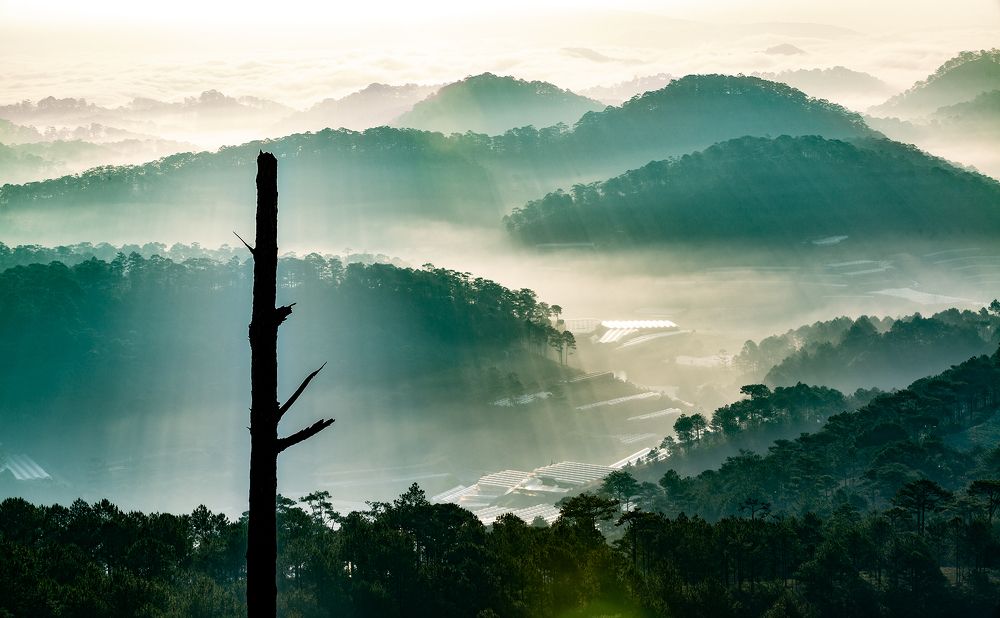 Photograph by Van Nguyen