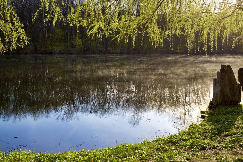 Photograph by Наталья Самойлова