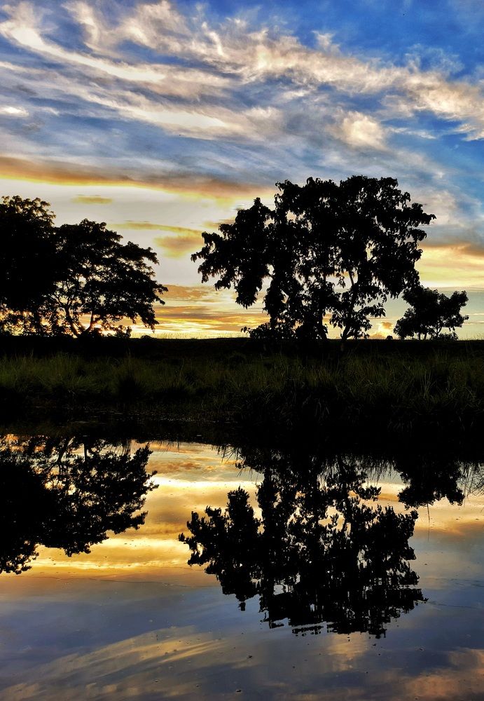 Photo #6270471