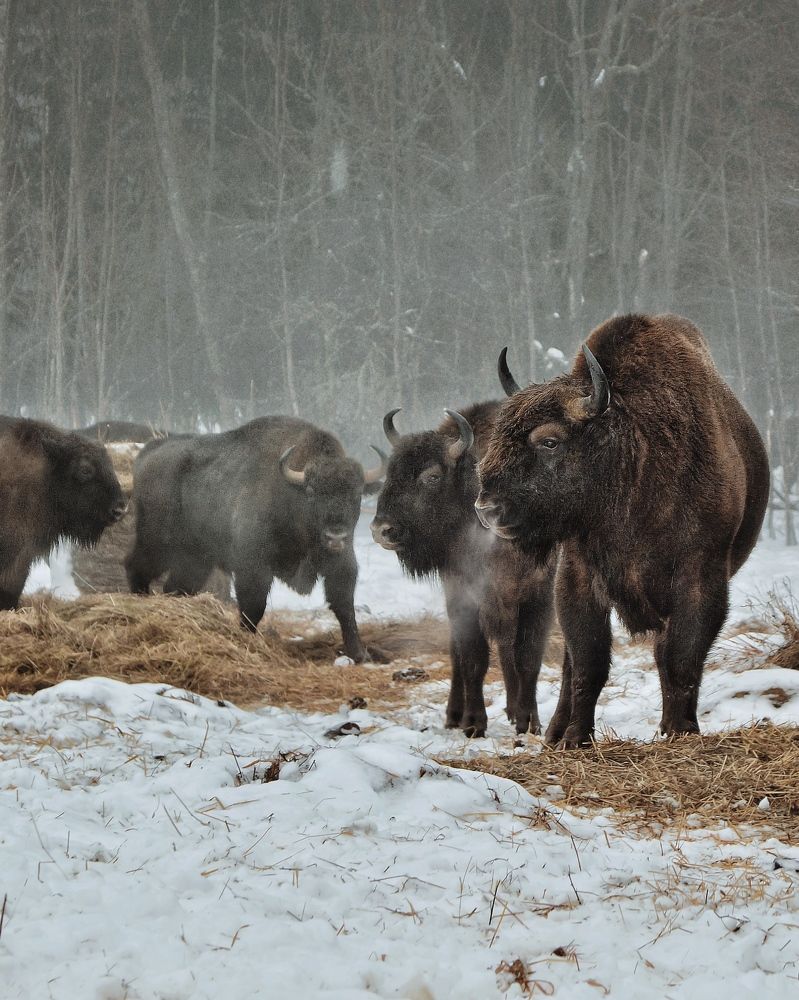 Photograph by Сергей Протасов