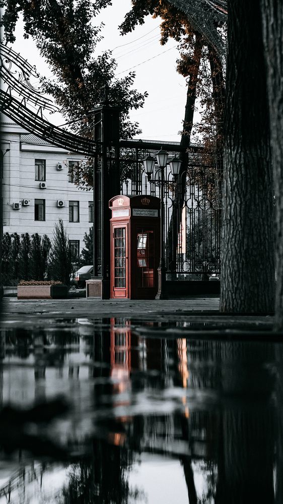 Photograph by Дмитрий Пак