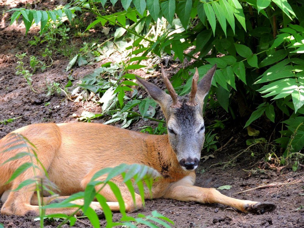 Photograph by Юрий Тихонов
