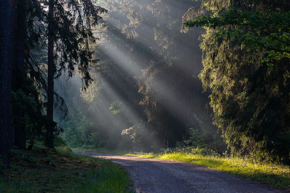 Photograph by Eriks Zilbalodis