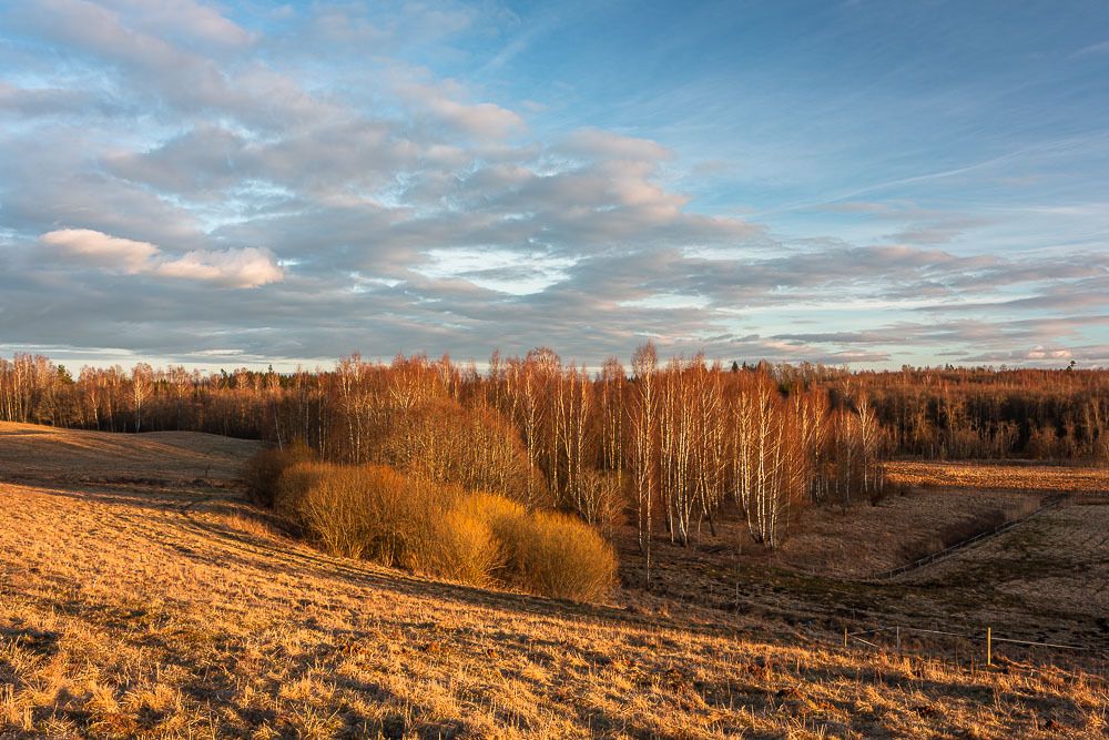 Photograph by Eriks Zilbalodis