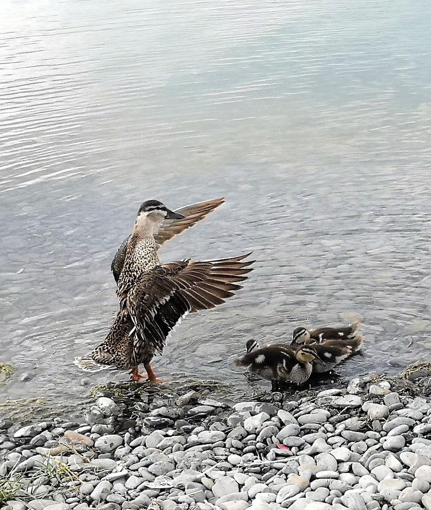 Photograph by Инна Великанова