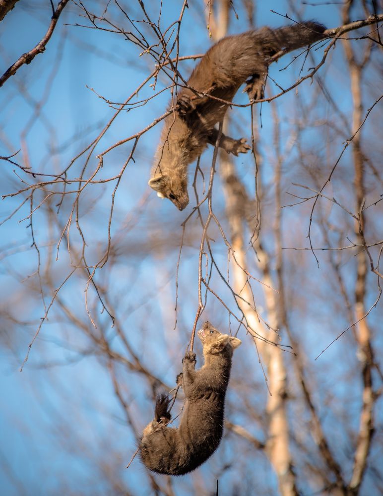 Photograph by Алексей Ознобихин