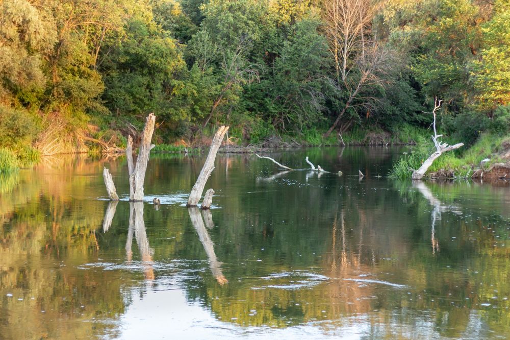 Photograph by Сергей Огромнов