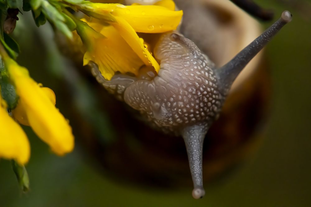 Photograph by stefanini alexis