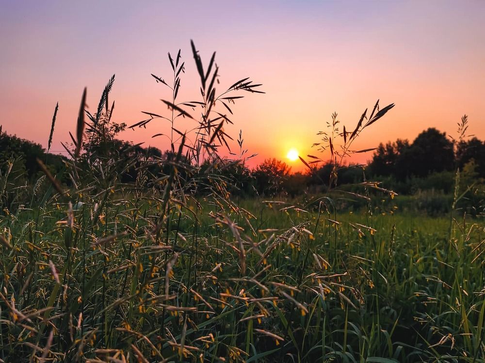 Photograph by Алеся Писнова