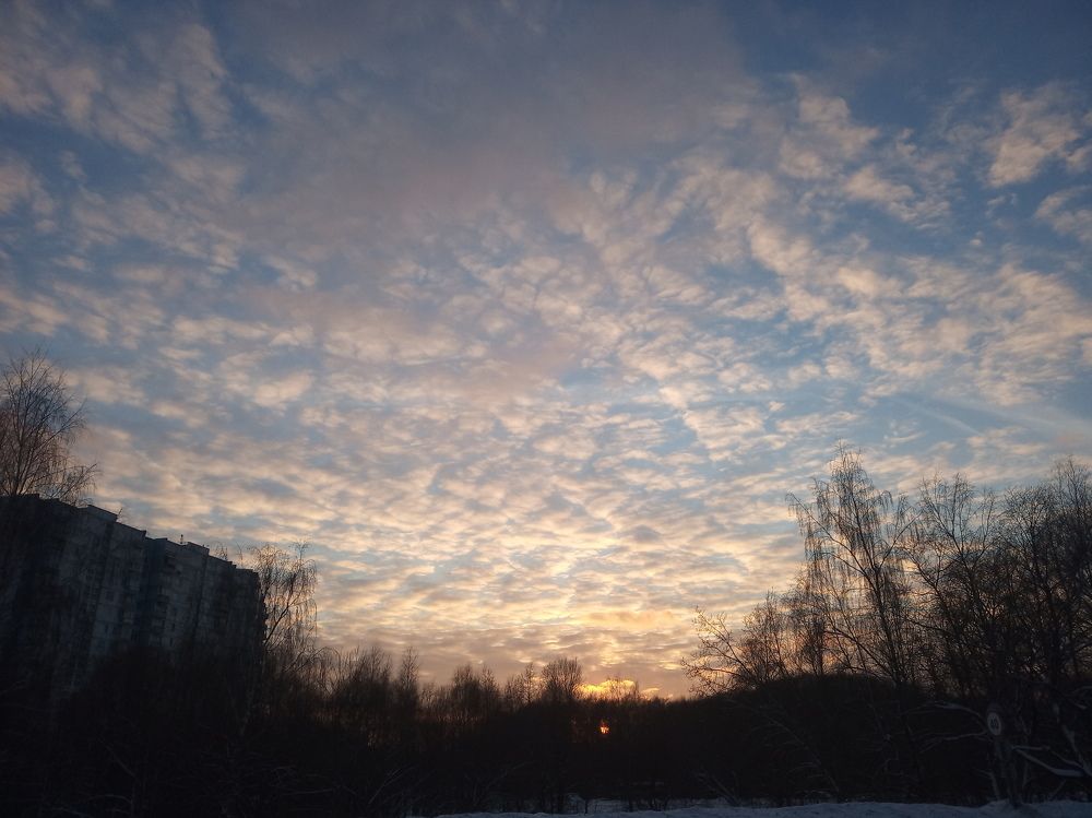 Photograph by Ирина