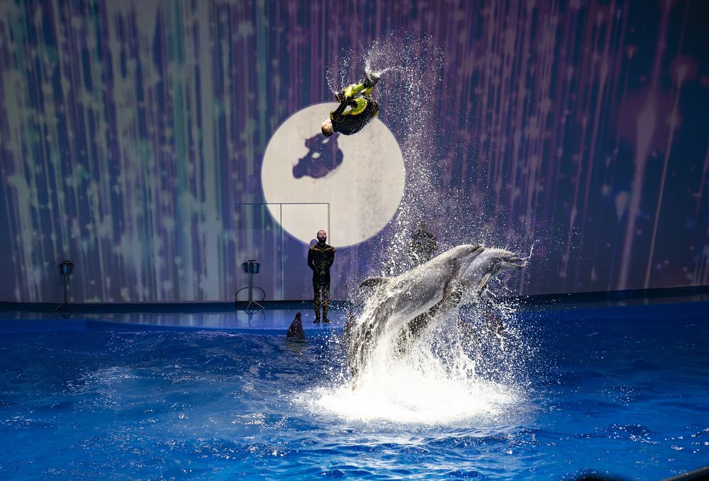 Photograph by Ольга Лукахина