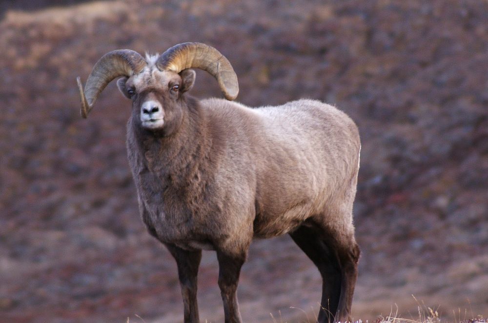 Photograph by Андрей Загребельный