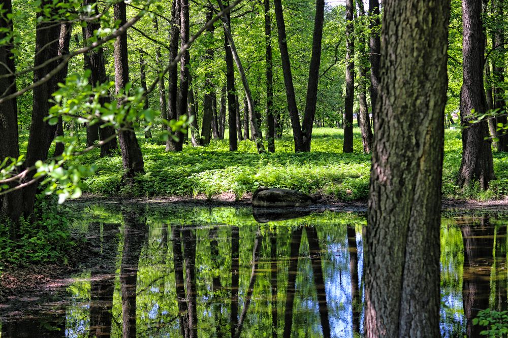 Photograph by Tatyana Semenova