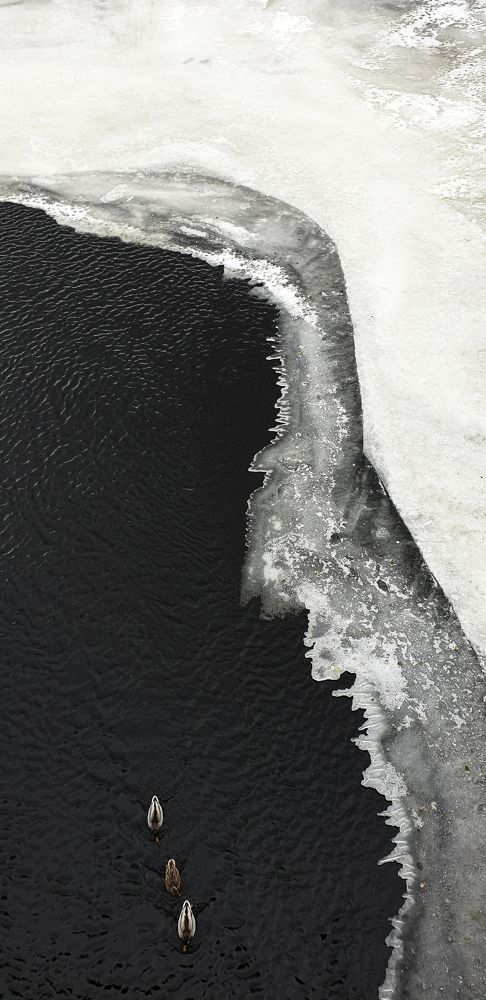 Photograph by Алёна Губинская