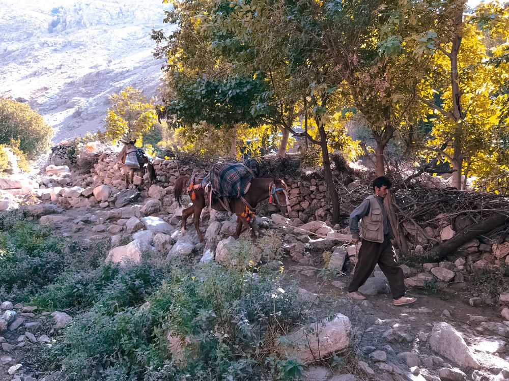 backpacker at Jabal Babrinji